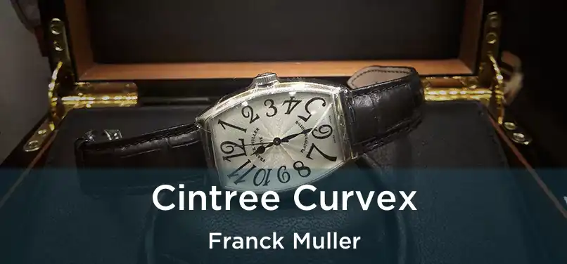  Cintree Curvex Franck Muller