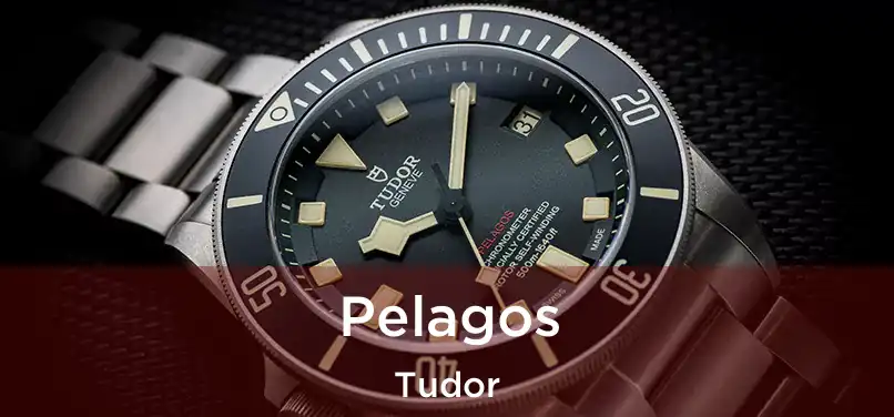  Pelagos Tudor